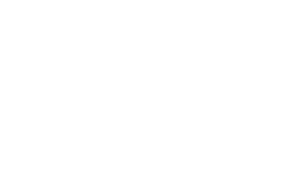 Black Orange Live